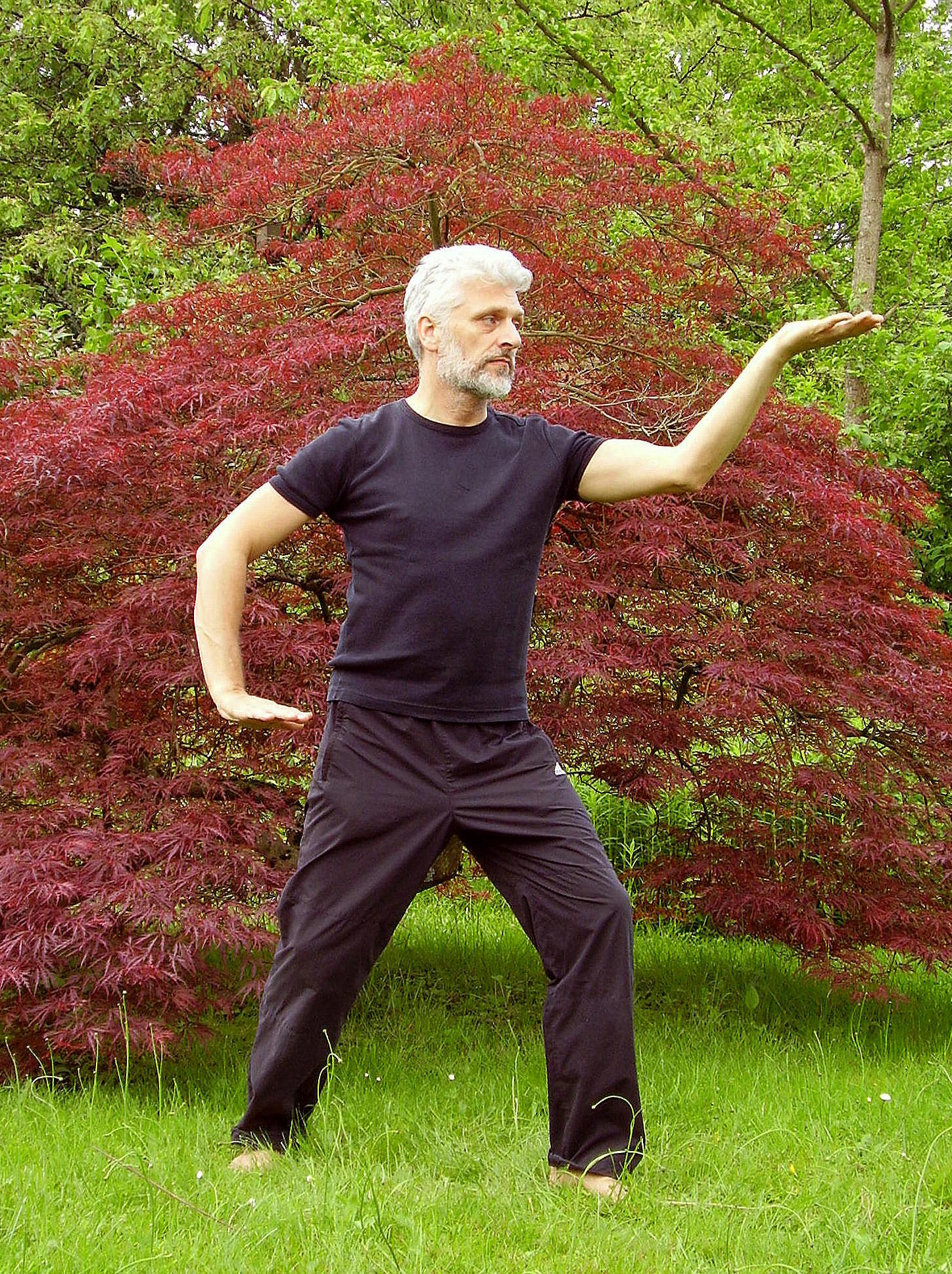 A man in dark clothing practices tai chi on grass in front of a red-leaved tree and green woodland.
