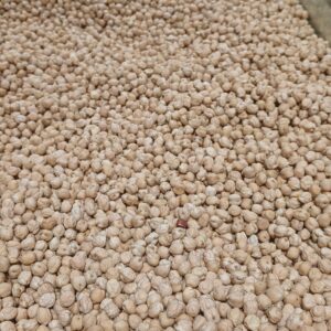 Close-up photograph of pale beige dried chickpeas filling the frame
